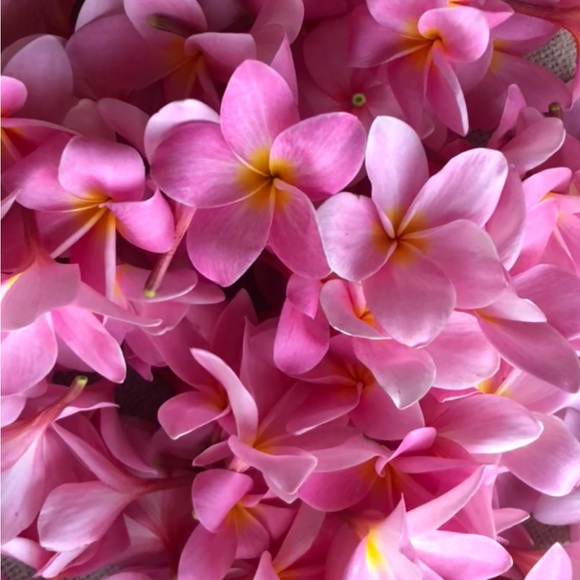 🌞🌺✨……….. - Picture 2 of 16